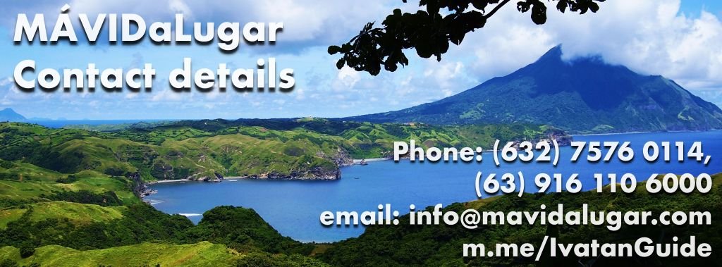 MAVIDaLugar Contact Details